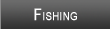 Norfork Lake Fishing